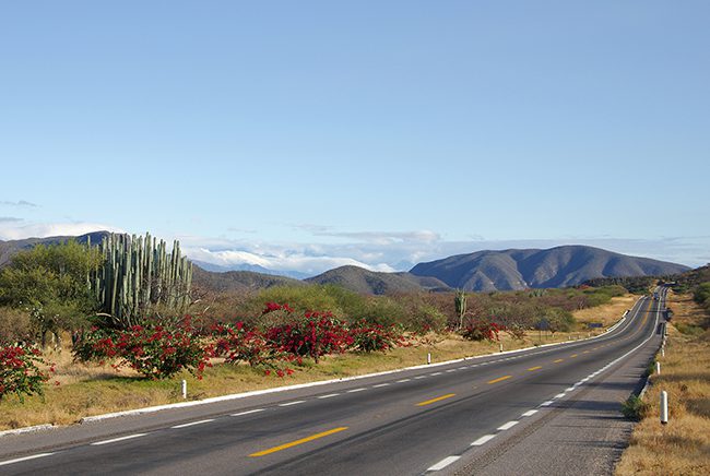A road with some bushes and mountains in the background