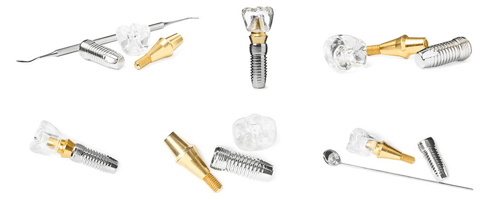 Biocare and ZirkonZahn CAD/CAM Systems for Implant Prosthetics