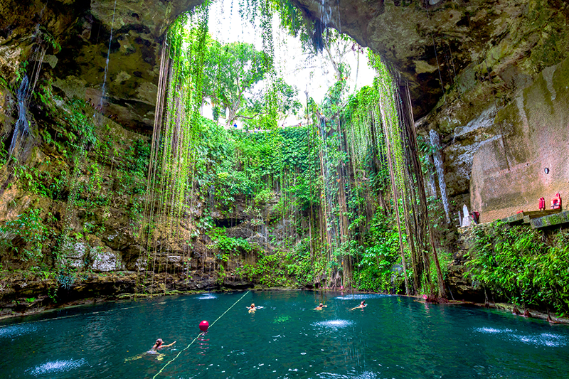 A group of people swimming in a cenote in Playa del Carmen, Mexico