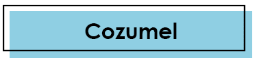 A blue sign with the word cozumel written in black.