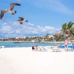 A beautiful beach in Playa del Carmen, Mexico