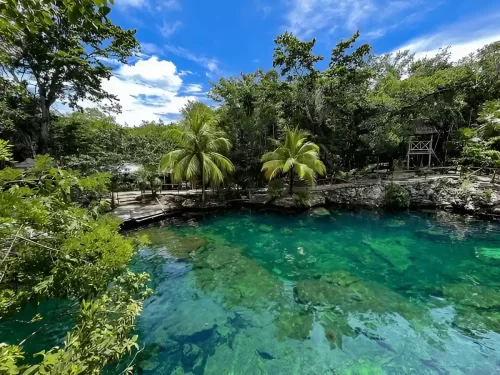 Cenotes tours in Playa del Carmen